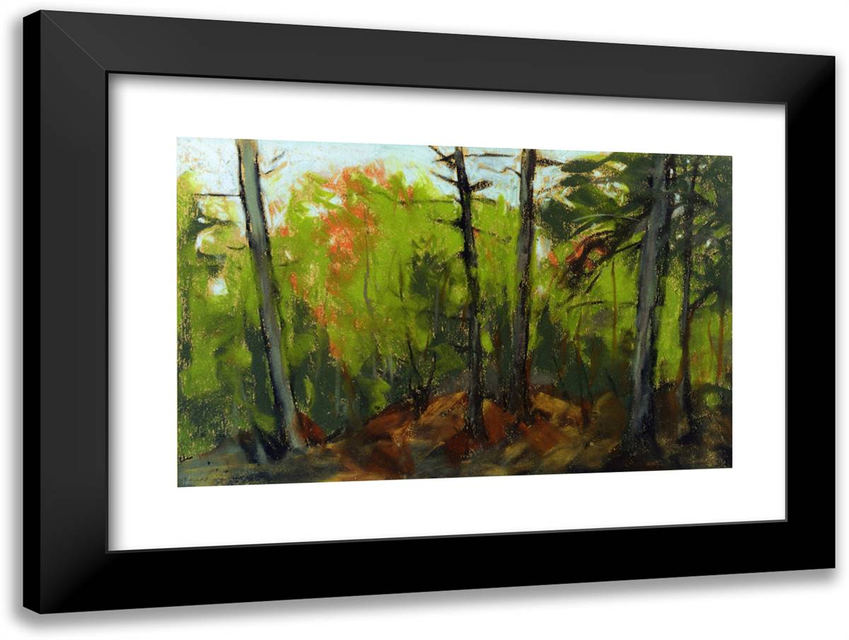 Woodland Scene, Monhegan, Maine 24x18 Black Modern Wood Framed Art Print Poster by Henri, Robert