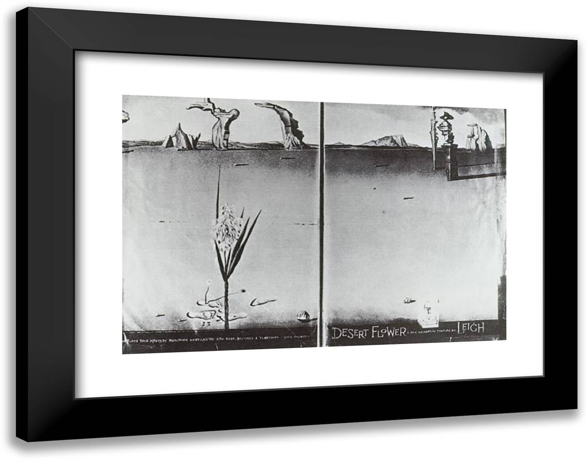 Flower in the Desert 24x19 Black Modern Wood Framed Art Print Poster by Dali, Salvador