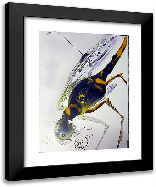 Locusta Et Bruchus 19x24 Black Modern Wood Framed Art Print Poster by Dali, Salvador