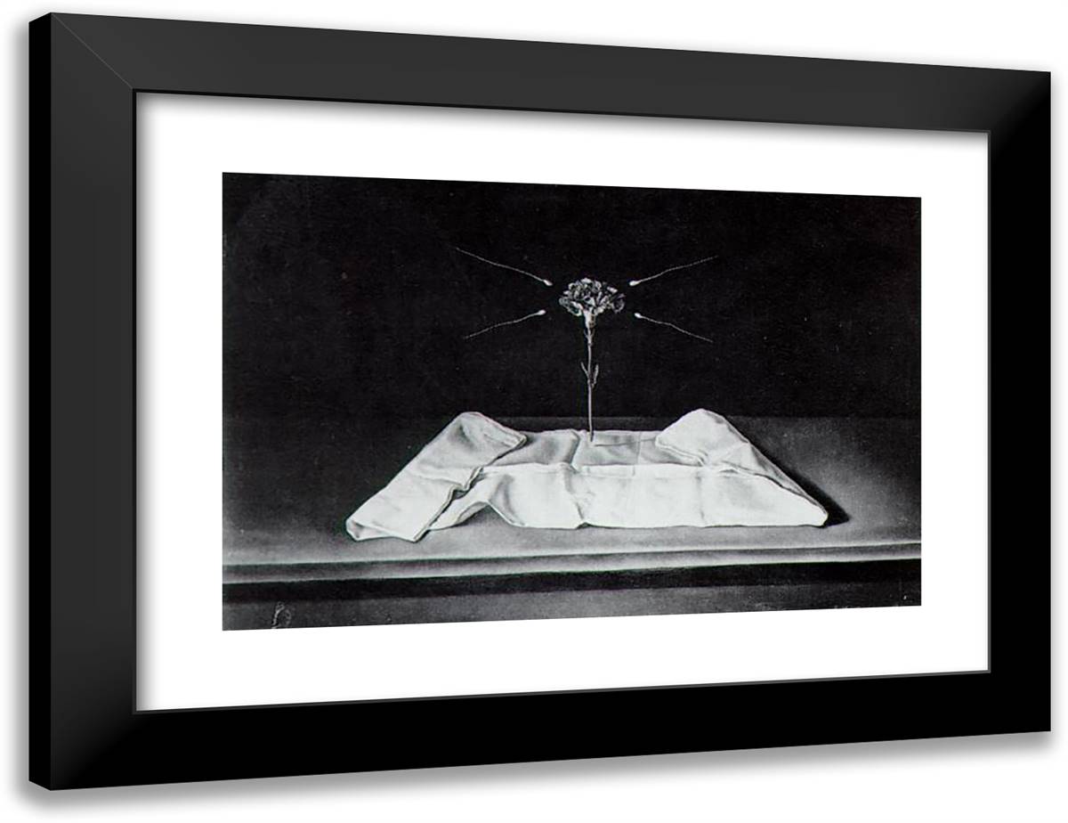 Mystical Carnation 24x18 Black Modern Wood Framed Art Print Poster by Dali, Salvador
