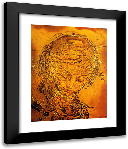 Raphaelesque Head Exploding 20x24 Black Modern Wood Framed Art Print Poster by Dali, Salvador