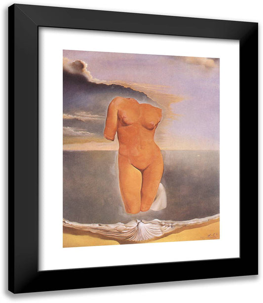 Rhinocerotic Gooseflesh 20x23 Black Modern Wood Framed Art Print Poster by Dali, Salvador