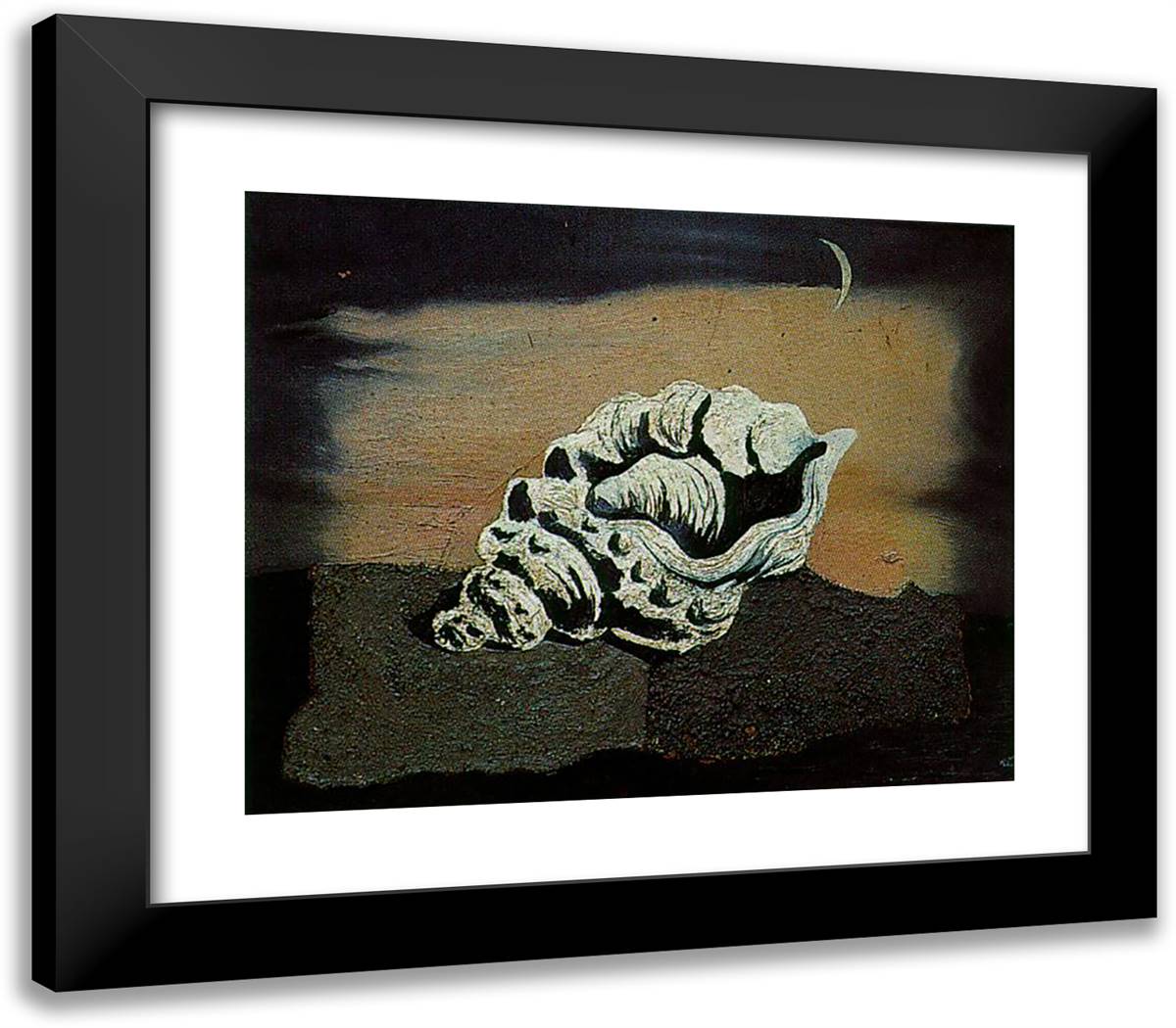 Shell 23x20 Black Modern Wood Framed Art Print Poster by Dali, Salvador