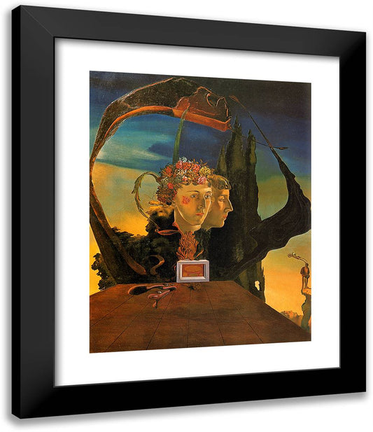 Vicomtesse Marie-Laure 20x24 Black Modern Wood Framed Art Print Poster by Dali, Salvador