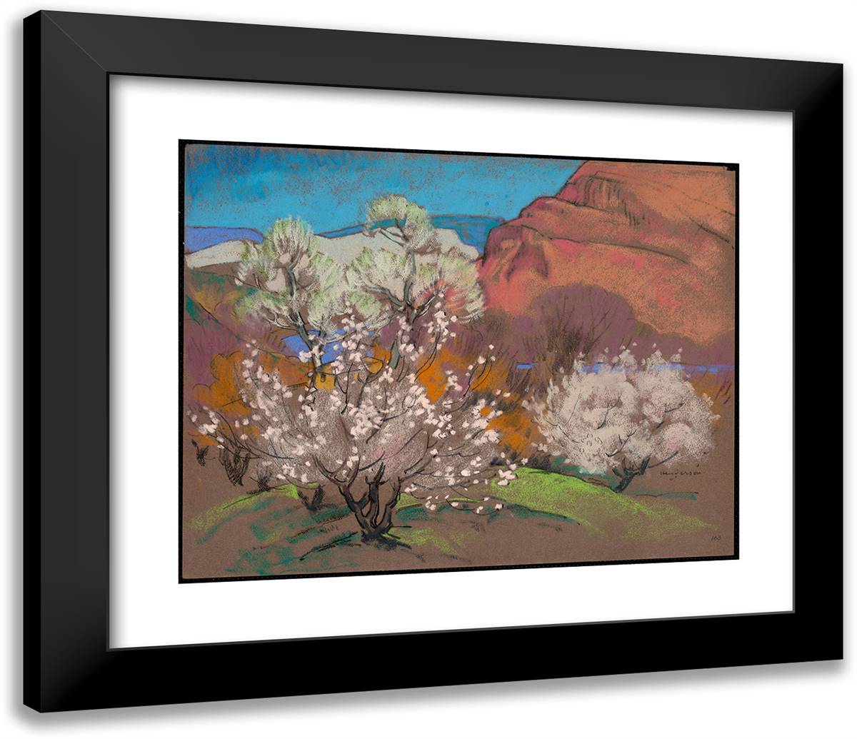 Spring, Abiquiu 23x20 Black Modern Wood Framed Art Print Poster by Pen, William