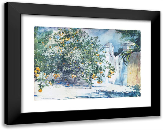 Orange Trees and Gate 24x19 Black Modern Wood Framed Art Print Poster by Homer, Winslow