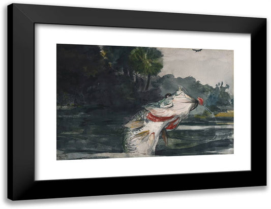 Life-Size Black Bass 24x18 Black Modern Wood Framed Art Print Poster by Homer, Winslow