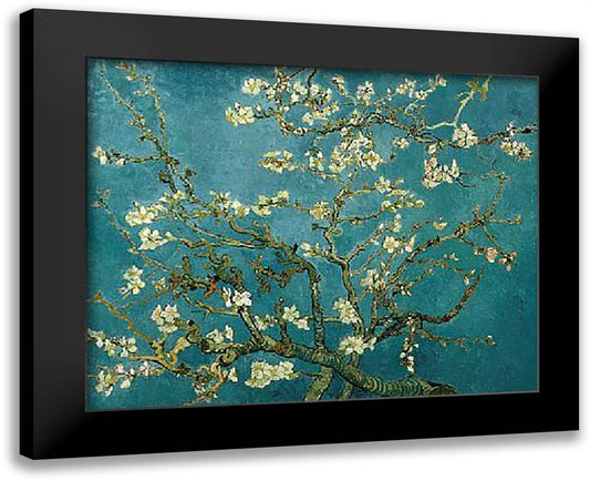 Blossoming Almond Tree, Saint-Remy, c.1890 20x16 Black Modern Wood Framed Art Print Poster by Van Gogh, Vincent