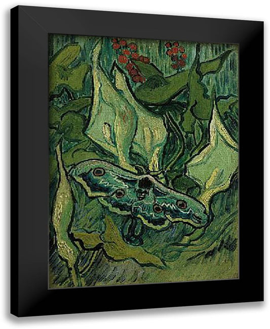 Emperor Moth, San Remy 5/1889 16x20 Black Modern Wood Framed Art Print Poster by Van Gogh, Vincent