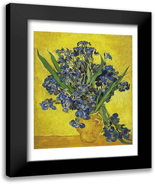 Irises, San Remy 1890 16x20 Black Modern Wood Framed Art Print Poster by Van Gogh, Vincent