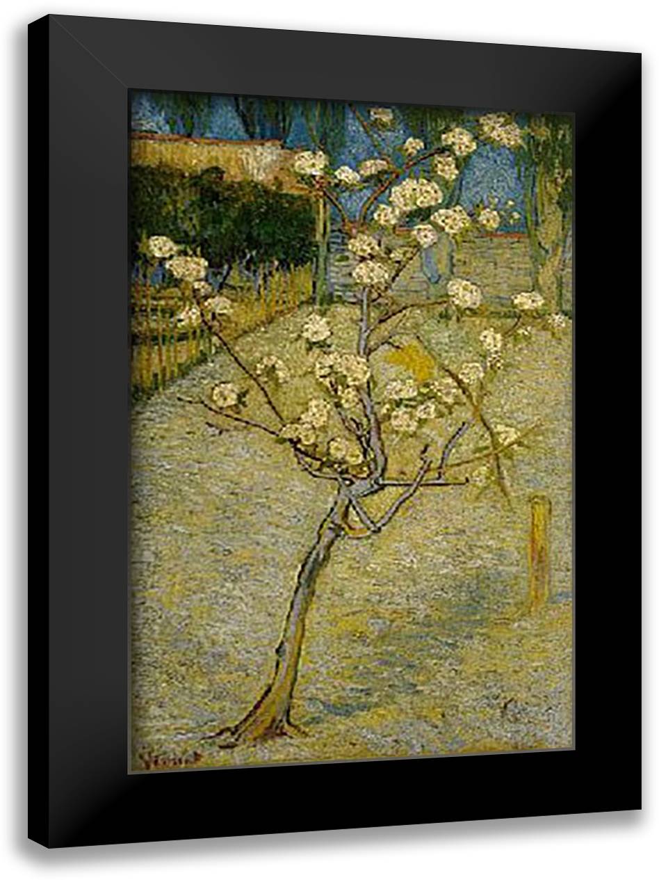 Pear Trees In Bloom, Arles 1888 24x32 Black Modern Wood Framed Art Print Poster by Van Gogh, Vincent