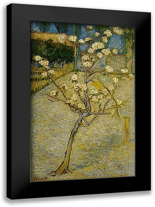Pear Trees In Bloom, Arles 1888 24x32 Black Modern Wood Framed Art Print Poster by Van Gogh, Vincent