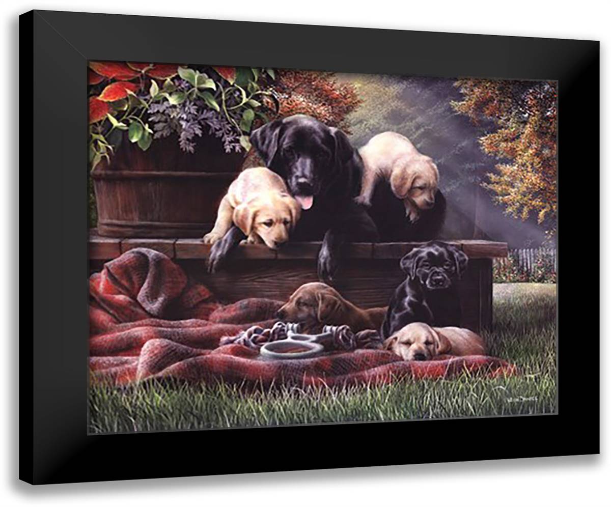 Cozy Moments 24x20 Black Modern Wood Framed Art Print Poster by Daniel, Kevin