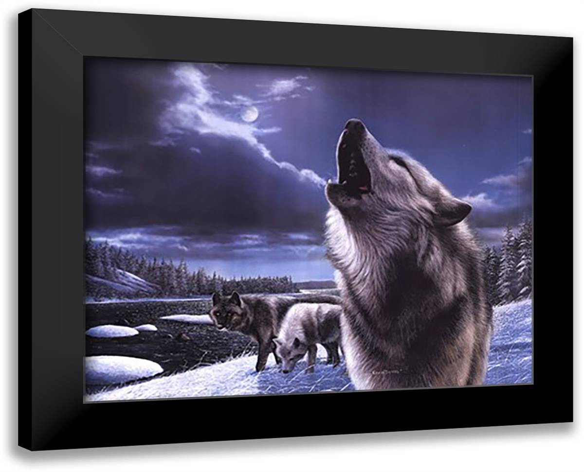 Wolves (Howling) 32x26 Black Modern Wood Framed Art Print Poster by Daniel, Kevin