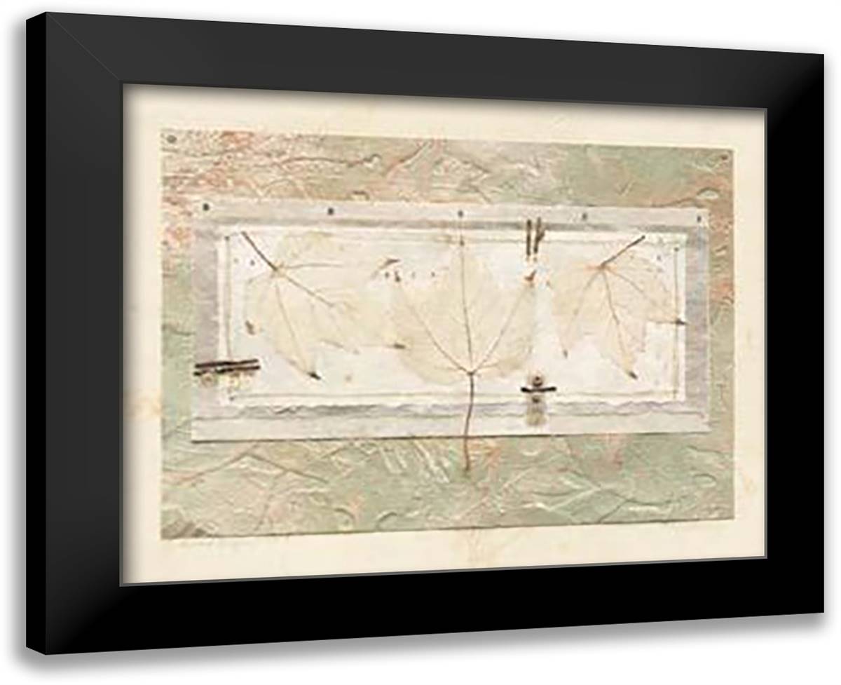 Leaves 18x15 Black Modern Wood Framed Art Print Poster by Goss, Francois