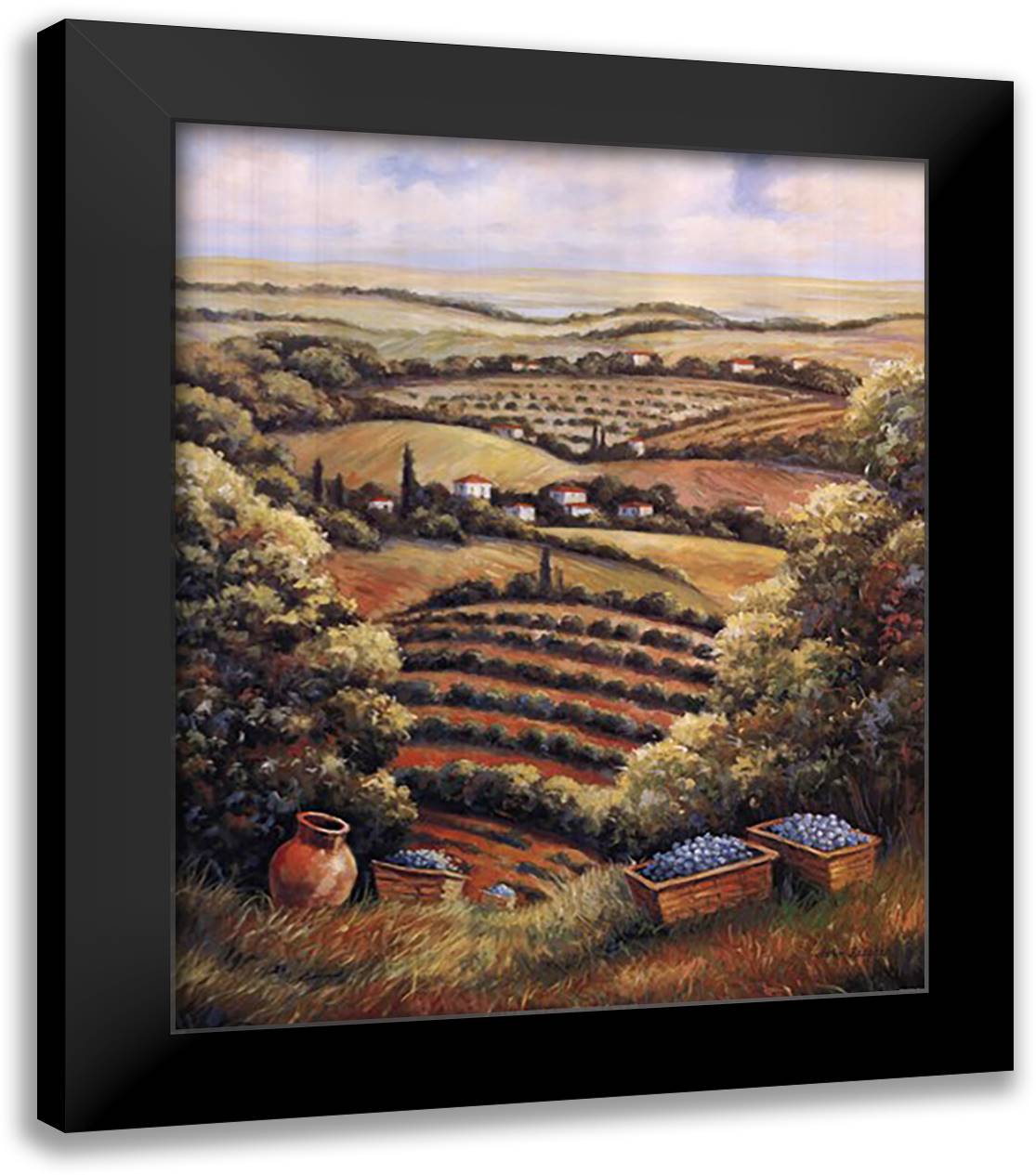 Tuscany Vista II 20x24 Black Modern Wood Framed Art Print Poster by Zaccheo, John