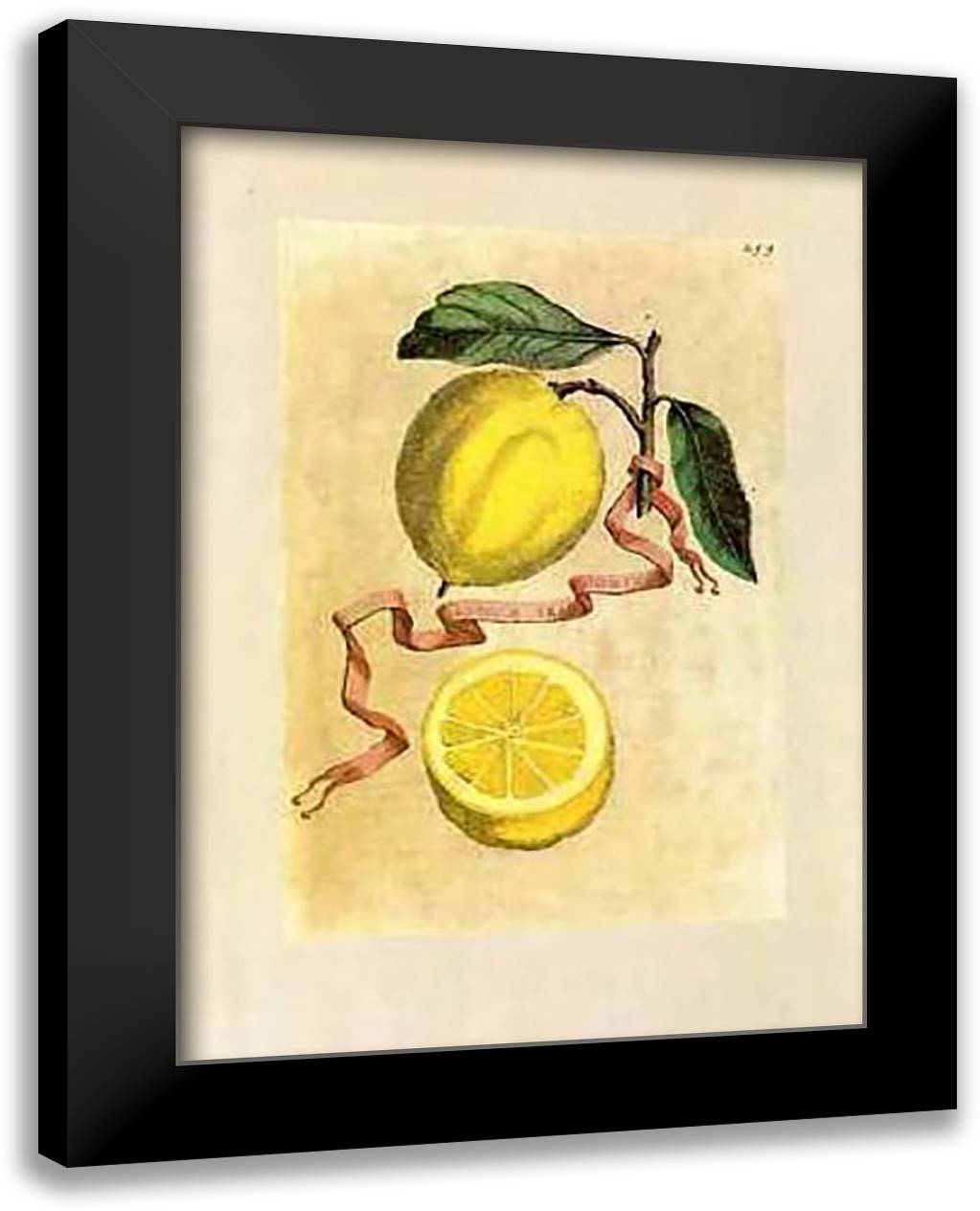 Baroque Fruit - Lemons 17x22 Black Modern Wood Framed Art Print Poster by Ferrari, Giovanni