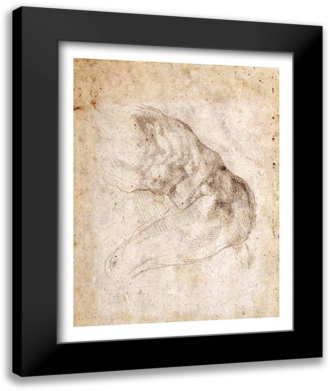 Study for The Creation of Adam 22x28 Black Modern Wood Framed Art Print Poster by Michelangelo