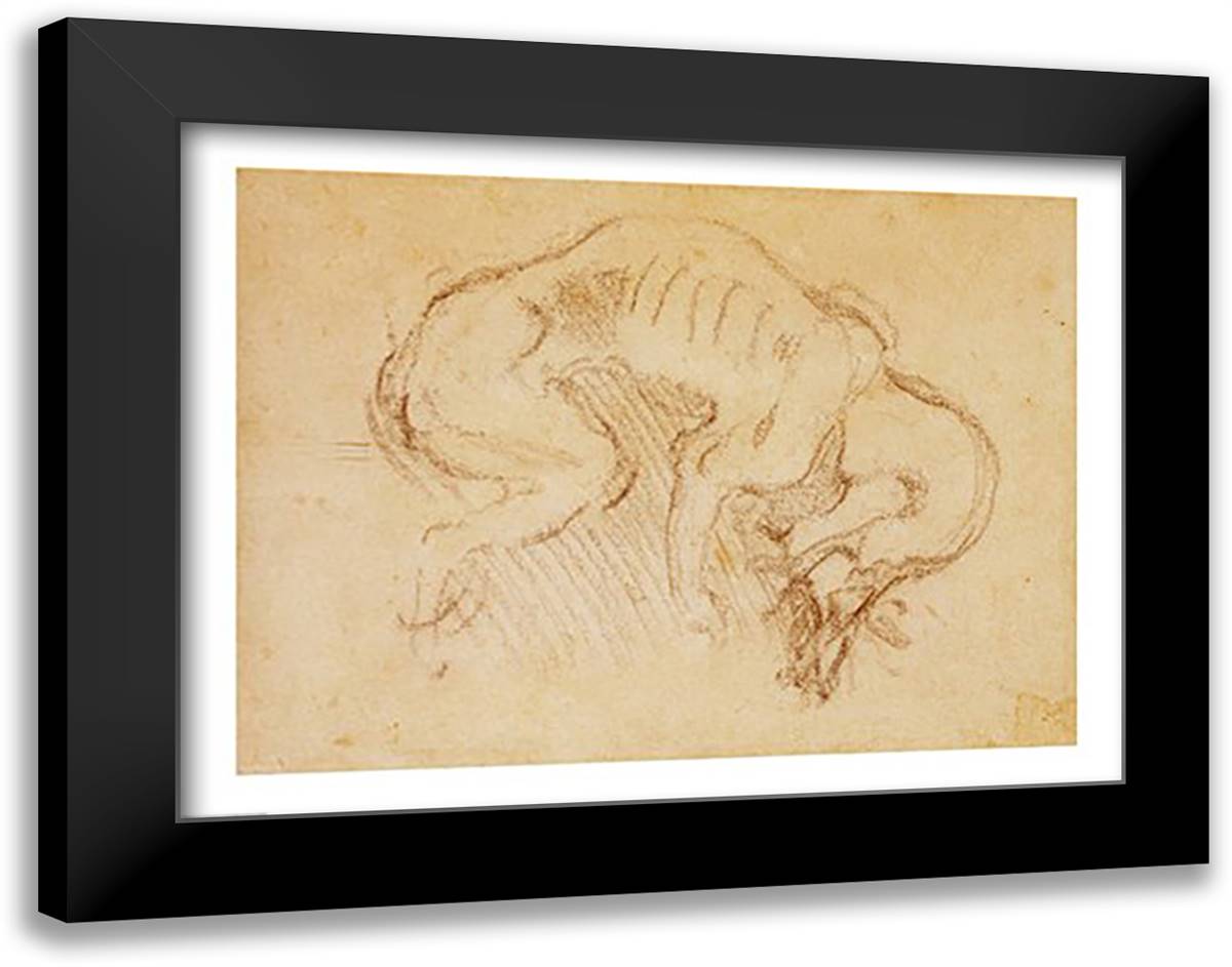 Study of a dog 28x22 Black Modern Wood Framed Art Print Poster by Michelangelo