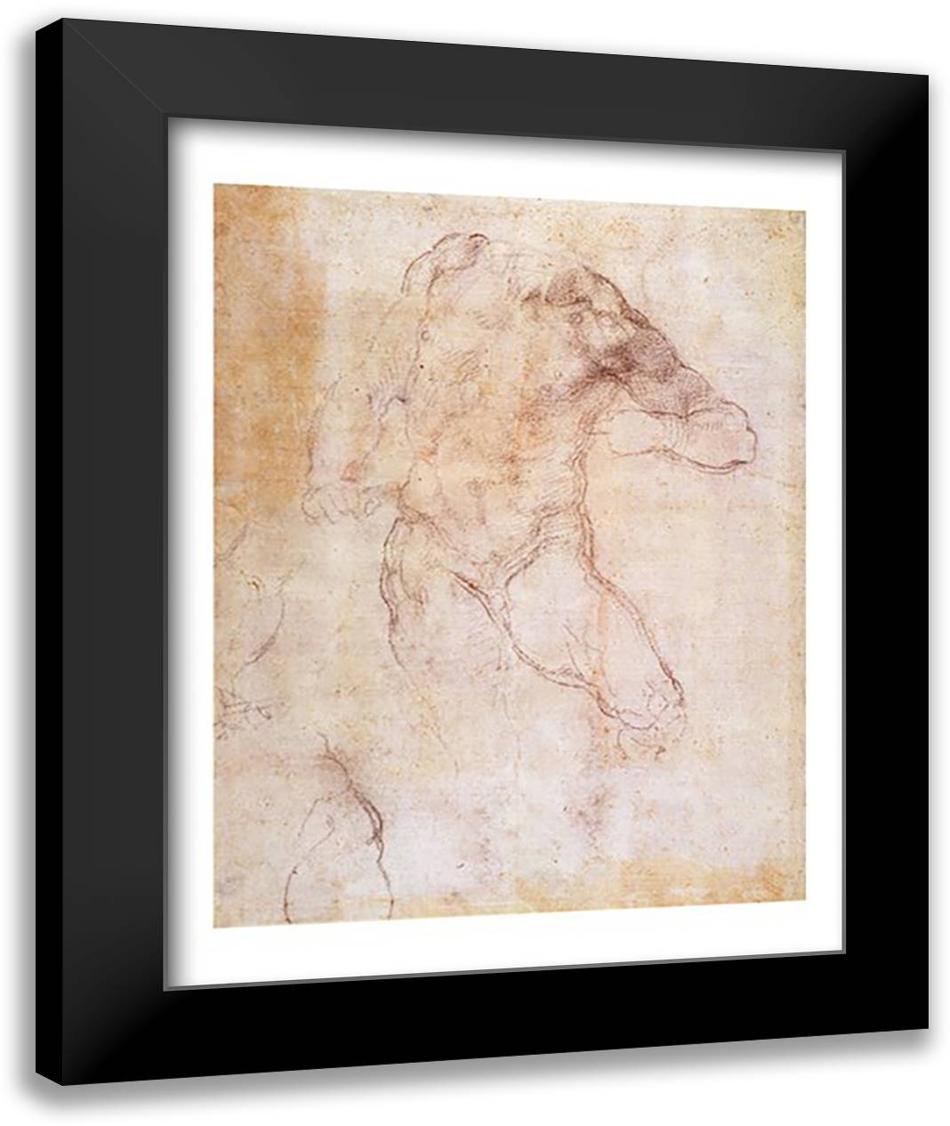 Study of a male nude 22x28 Black Modern Wood Framed Art Print Poster by Michelangelo