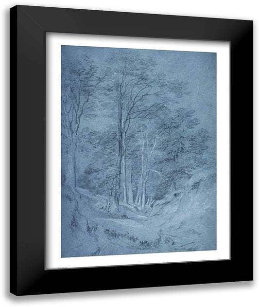 Study of ash and other trees 22x28 Black Modern Wood Framed Art Print Poster by Constable, John