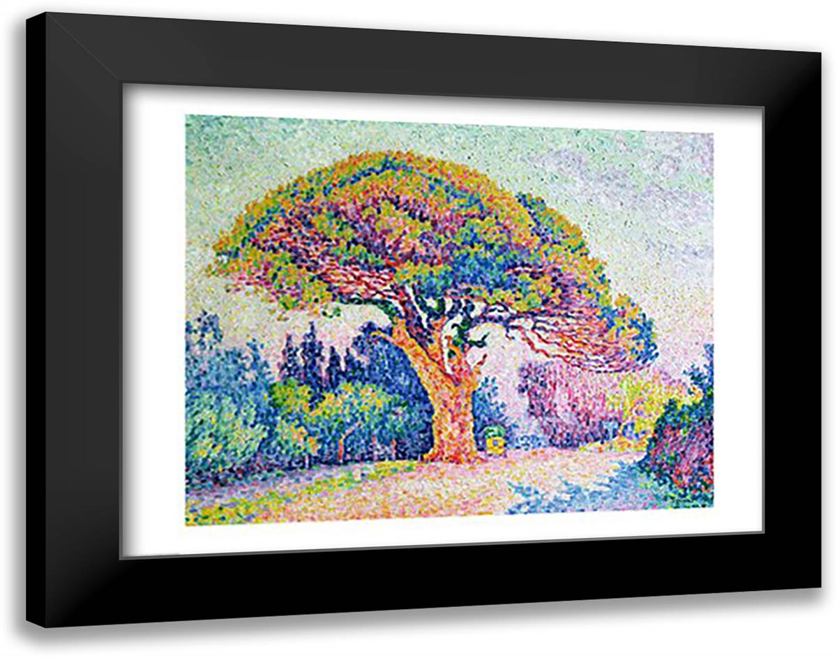 The Pine Tree at St. Tropez, 1909 28x22 Black Modern Wood Framed Art Print Poster by Signac, Paul