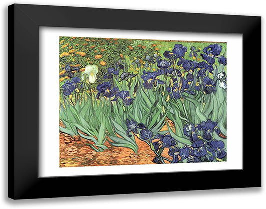 Irises, 1889 28x22 Black Modern Wood Framed Art Print Poster by Van Gogh, Vincent