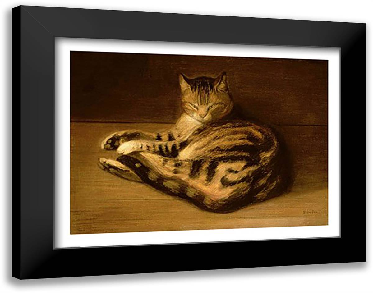 Recumbent Cat, 1898 28x22 Black Modern Wood Framed Art Print Poster by Steinlen, Theophile-Alexandre