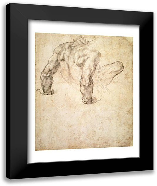 W.63r Study of a male nude, leaning back on his hands 22x28 Black Modern Wood Framed Art Print Poster by Michelangelo
