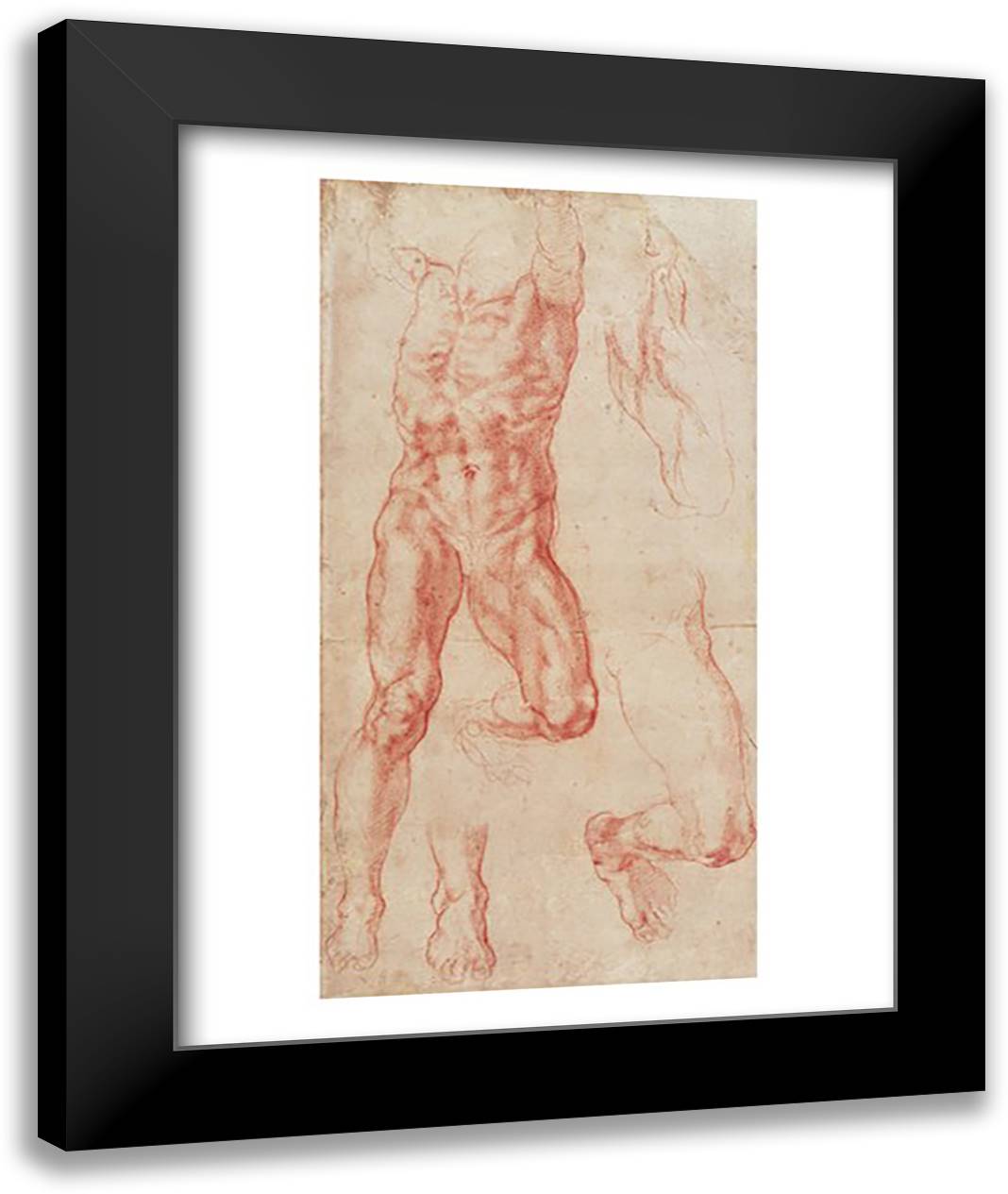 W.13r Study of a male nude, stretching upwards 22x28 Black Modern Wood Framed Art Print Poster by Michelangelo