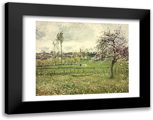 Meadow at Eragny, 1885 28x22 Black Modern Wood Framed Art Print Poster by Pissarro, Camille