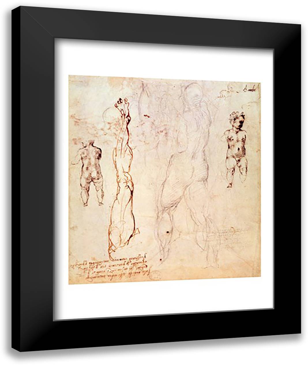 Anatomical drawings with accompanying notes 22x28 Black Modern Wood Framed Art Print Poster by Michelangelo