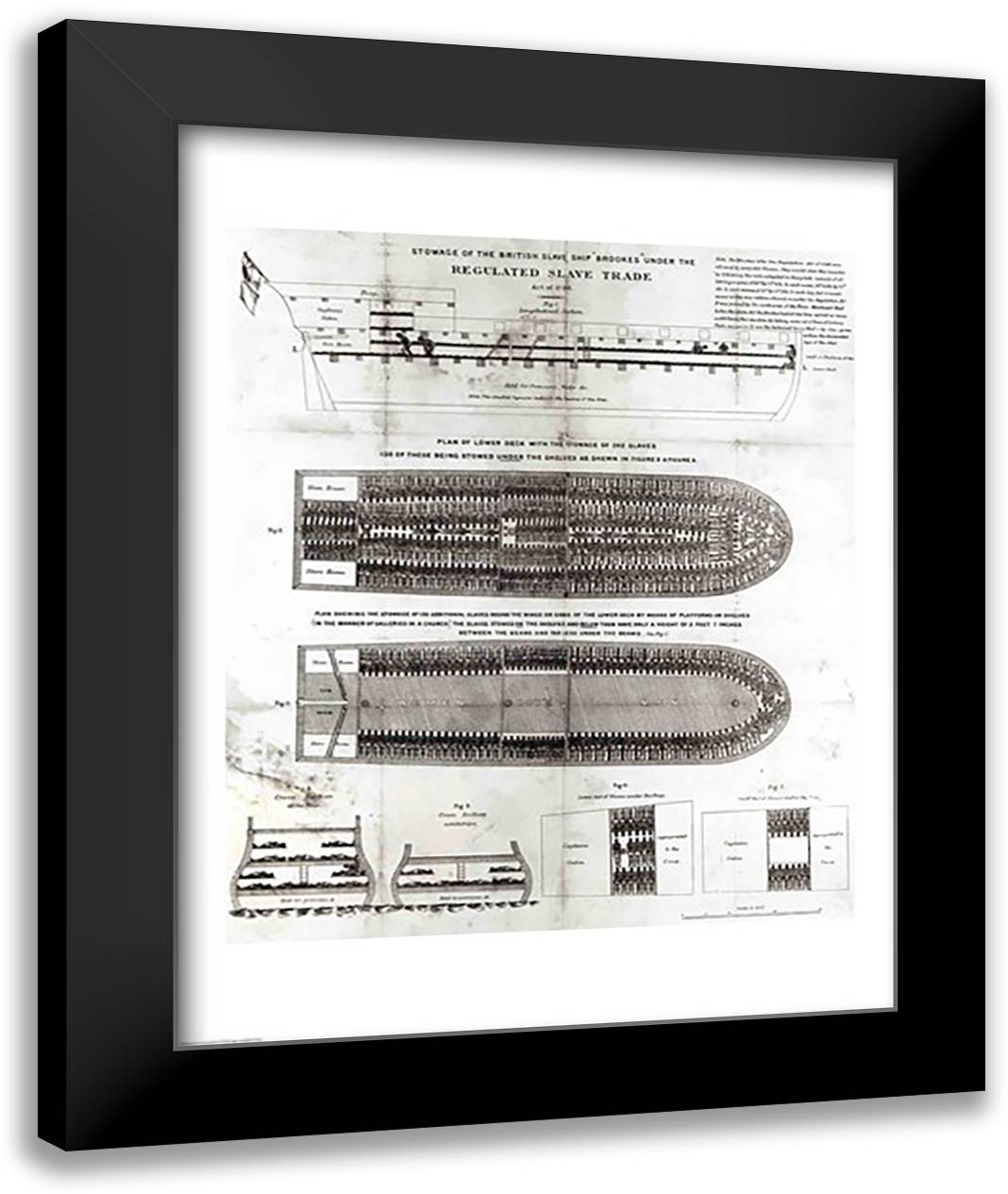 Stowage of the British Slave Ship 'Brookes' Under the Regulated Slave Trade Act of 1788 22x28 Black Modern Wood Framed Art Print Poster