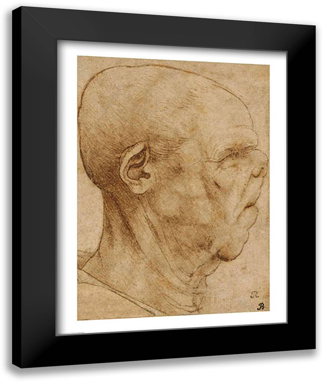 Caricature of the head of an old man, in profile to the right, c.1507 22x28 Black Modern Wood Framed Art Print Poster by da Vinci, Leonardo