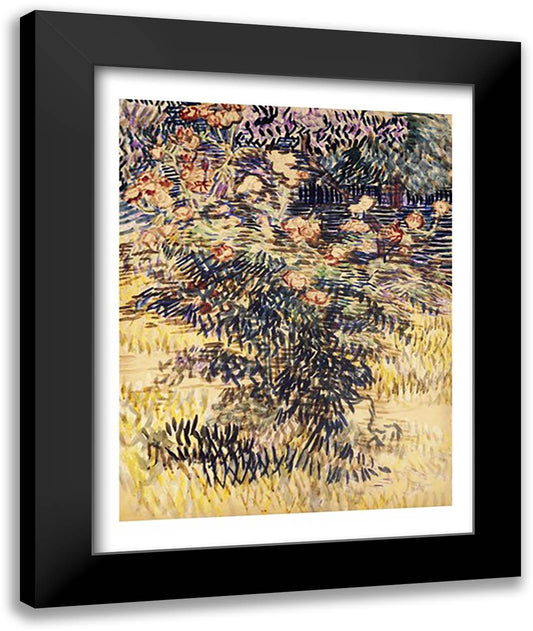 Oleanders, the Hospital Garden at Saint-Remy, 1889 22x28 Black Modern Wood Framed Art Print Poster by Van Gogh, Vincent