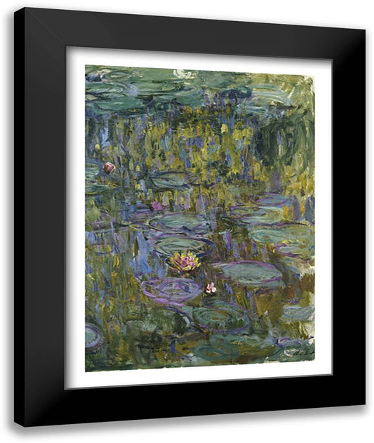 Waterlilies 22x28 Black Modern Wood Framed Art Print Poster by Monet, Claude