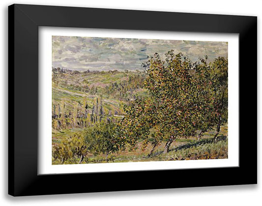 Apple Blossom 28x22 Black Modern Wood Framed Art Print Poster by Monet, Claude