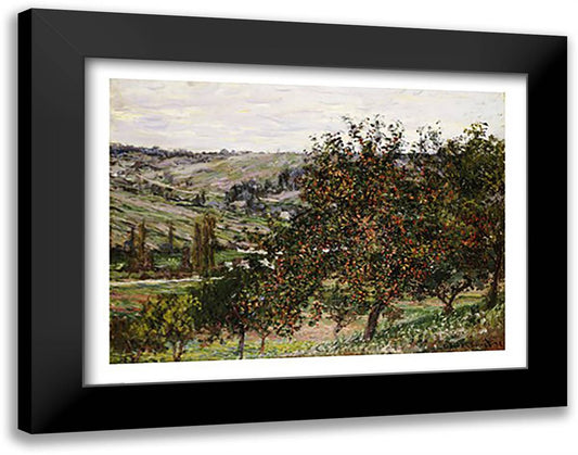 Apple Trees near Vetheuil 28x22 Black Modern Wood Framed Art Print Poster by Monet, Claude