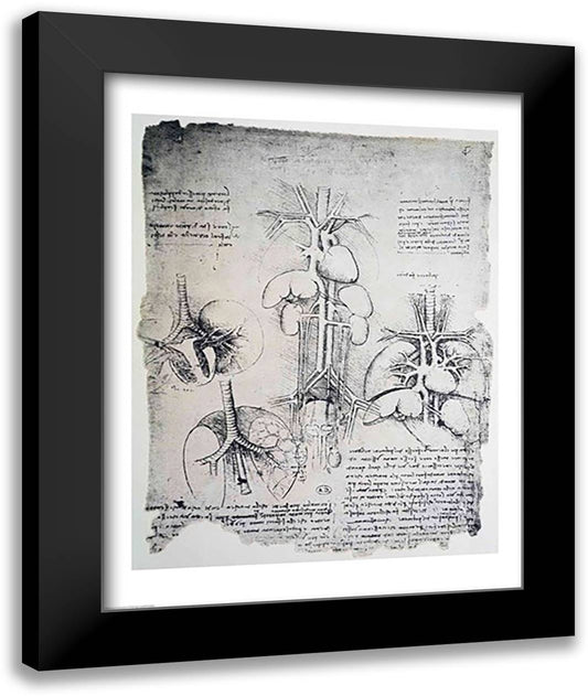 The Heart and the Circulation 22x28 Black Modern Wood Framed Art Print Poster by da Vinci, Leonardo