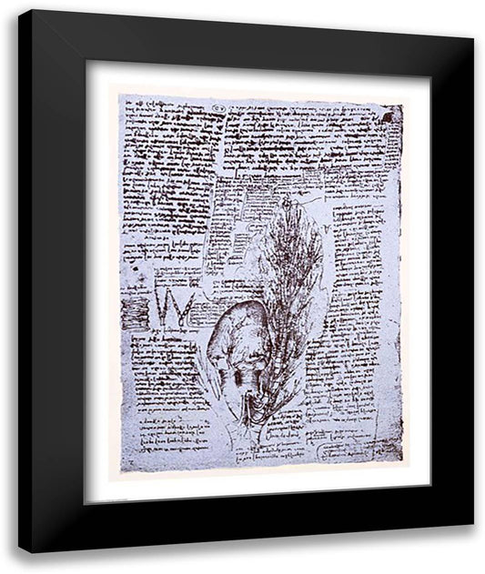 The Heart and the bronchial arteries 22x28 Black Modern Wood Framed Art Print Poster by da Vinci, Leonardo