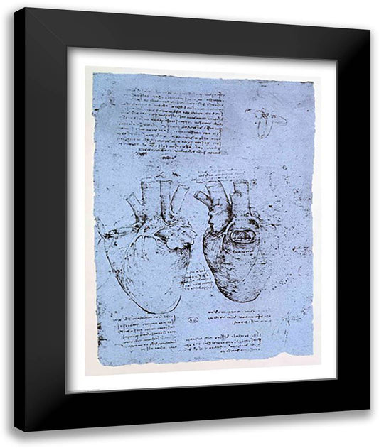 The Heart 22x28 Black Modern Wood Framed Art Print Poster by da Vinci, Leonardo