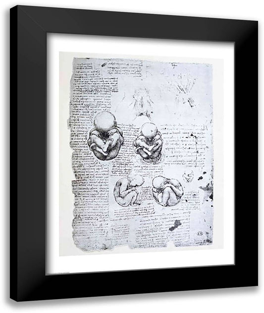 Five Views of a Fetus in the Womb 22x28 Black Modern Wood Framed Art Print Poster by da Vinci, Leonardo