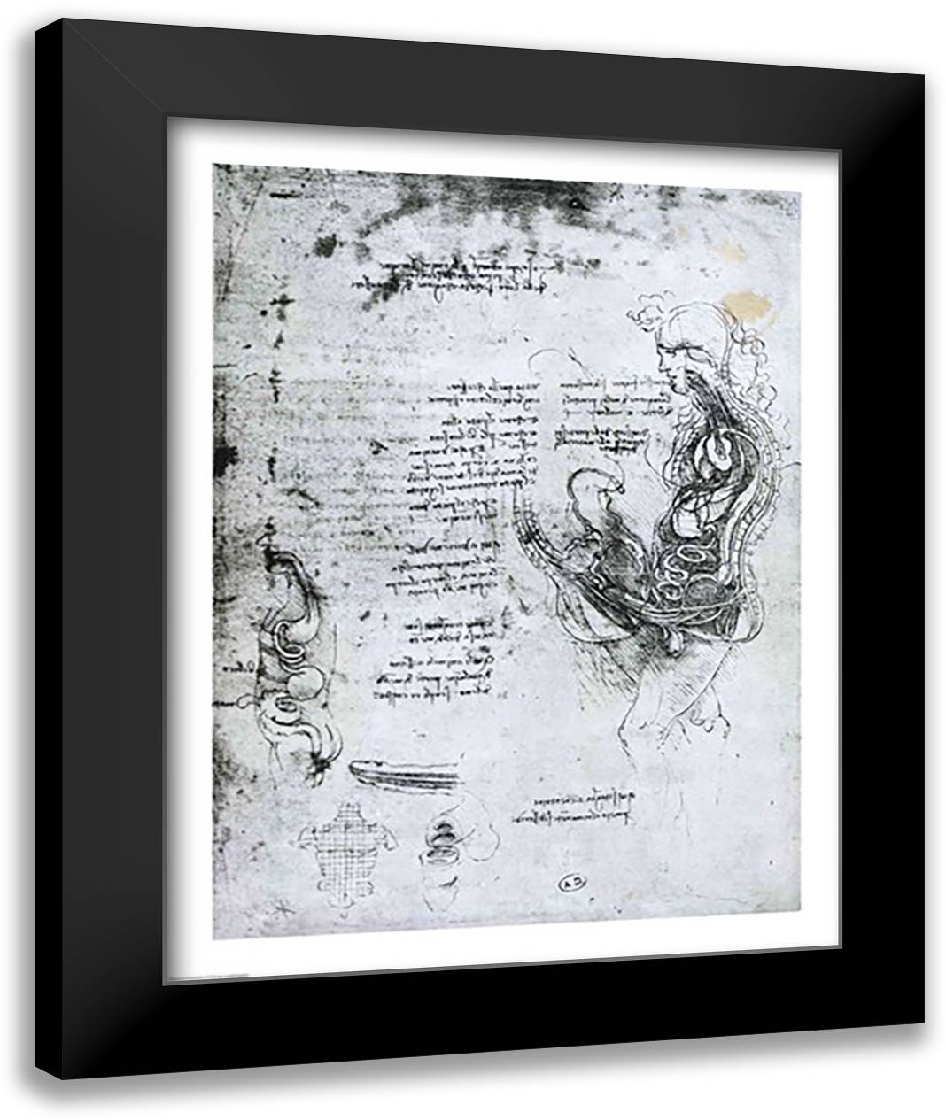 Coition of Hemisected Man and Woman 22x28 Black Modern Wood Framed Art Print Poster by da Vinci, Leonardo