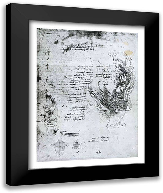 Coition of Hemisected Man and Woman 22x28 Black Modern Wood Framed Art Print Poster by da Vinci, Leonardo