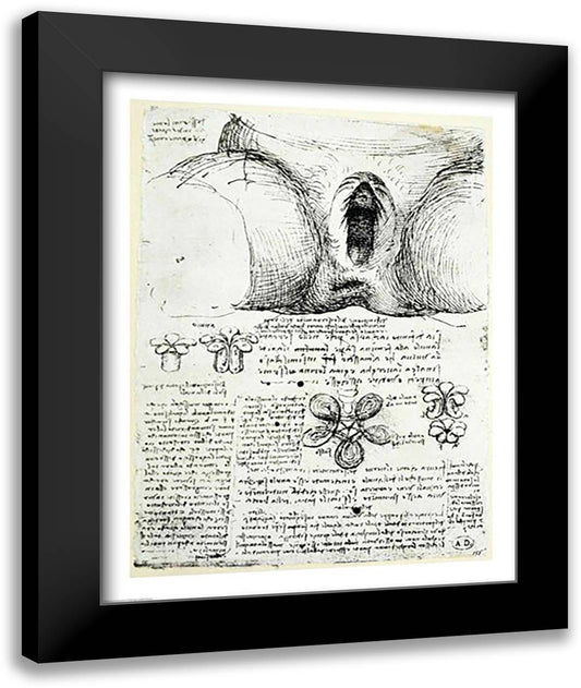 The Female Sexual Organs 22x28 Black Modern Wood Framed Art Print Poster by da Vinci, Leonardo