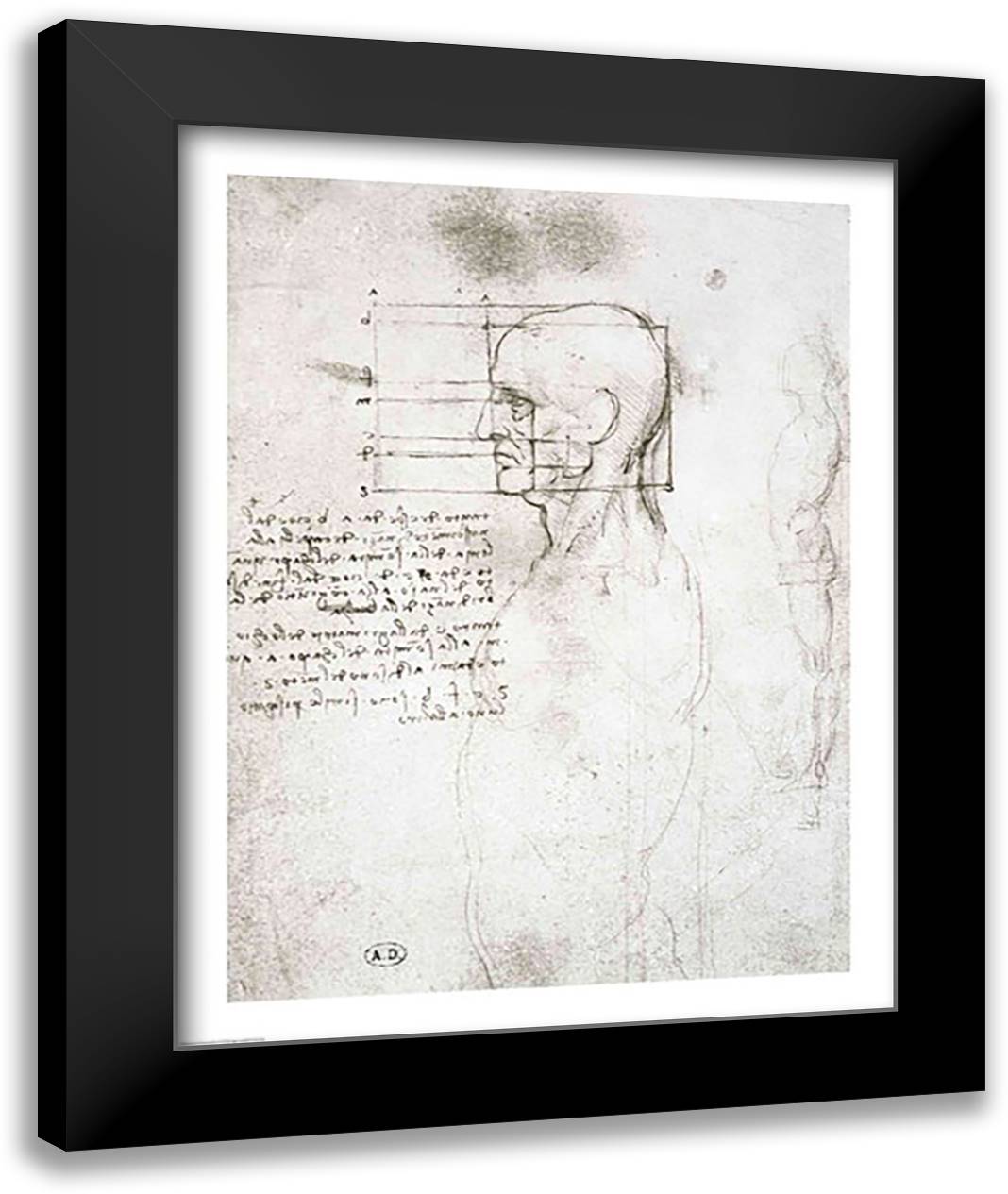 Head of an Old Man in Profile 22x28 Black Modern Wood Framed Art Print Poster by da Vinci, Leonardo