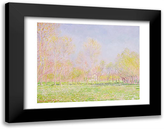 Spring in Giverny, 1890 28x22 Black Modern Wood Framed Art Print Poster by Monet, Claude