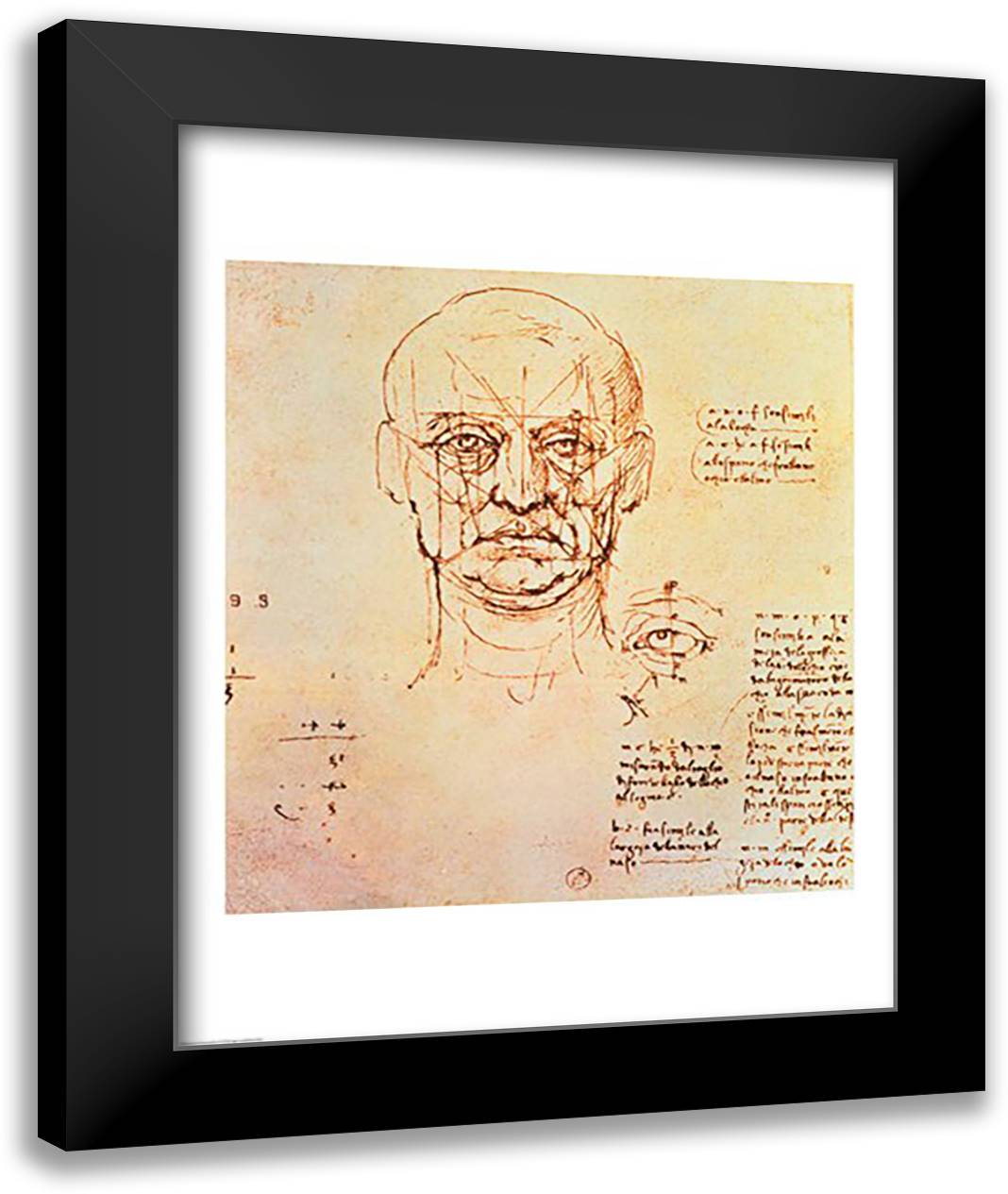Studies of the Proportions of the Face and Eye 22x28 Black Modern Wood Framed Art Print Poster by da Vinci, Leonardo