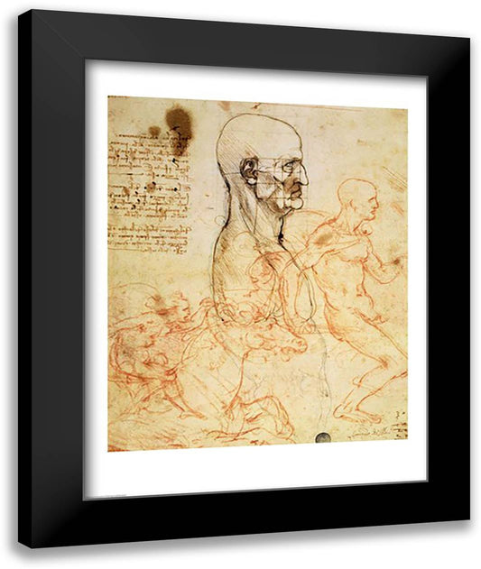 Torso of a Man in Profile, the Head Squared for Proportion 22x28 Black Modern Wood Framed Art Print Poster by da Vinci, Leonardo