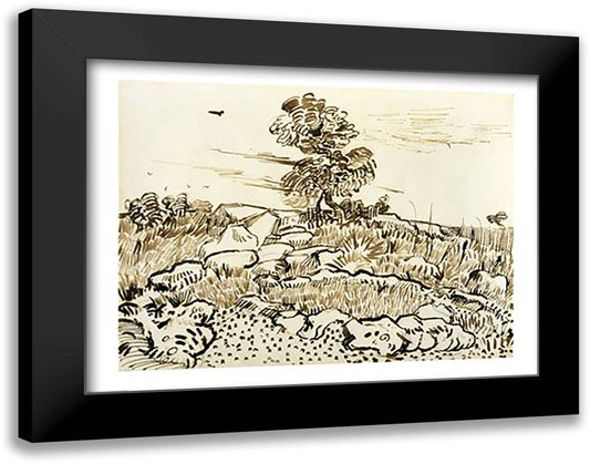 Rocky Ground at Montmajour 28x22 Black Modern Wood Framed Art Print Poster by Van Gogh, Vincent
